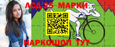 Альфа ПВП Можга