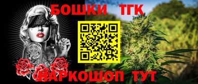 Альфа ПВП Можга