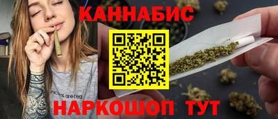 Альфа ПВП Можга