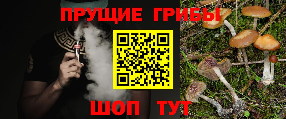 Галлюциногенные грибы мицелий Чебаркуль