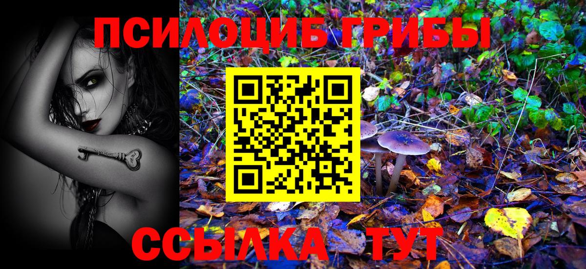Псилоцибиновые грибы мухоморы  сколько стоит  Чебаркуль  Псилоцибиновые грибы мицелий  Вход с VPN 